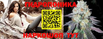 соль ск Новодвинск
