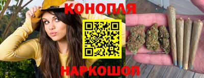 соль ск Новодвинск