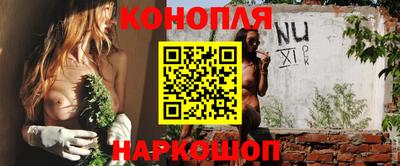 соль ск Новодвинск