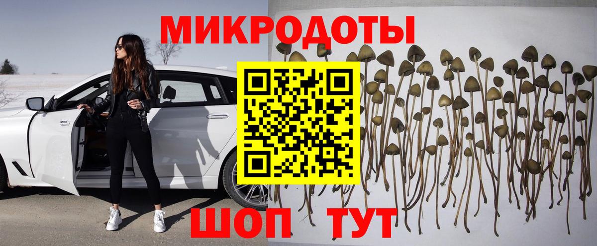 Галлюциногенные грибы Psilocybe Шатура