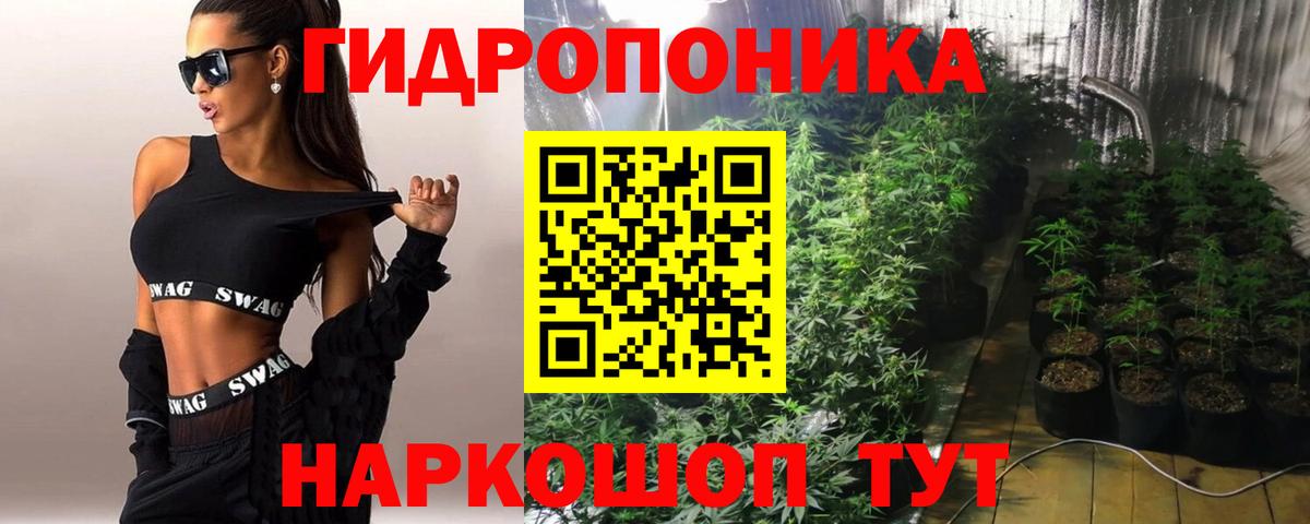 Каннабис конопля  Каннабис OG Kush  Вход с VPN  Шатура  Канабис White Widow 